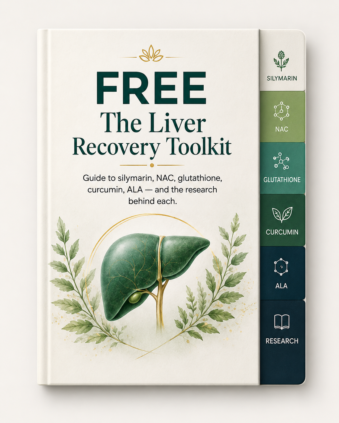 The Liver Recovery Toolkit — 39.99 Value (Free Digital Guide)