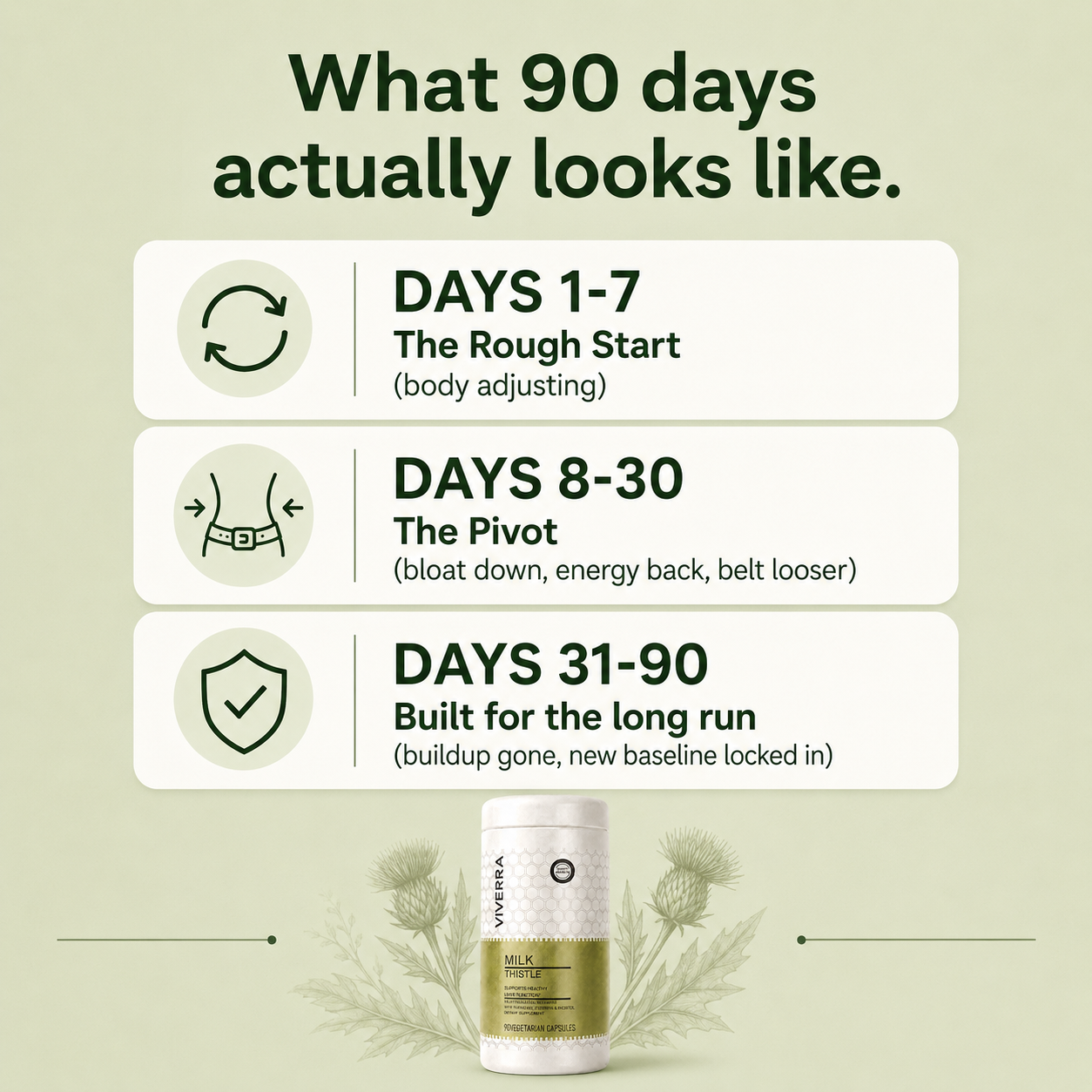Viverra Milk Thistle 5